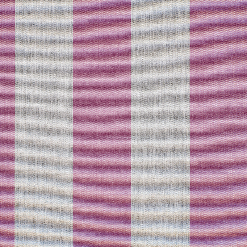 1219_AG_LINES_GRAPE D web