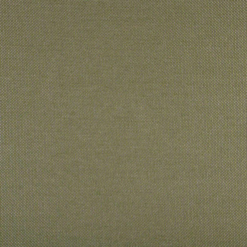 3667_AG_PANAMA_ALGHE