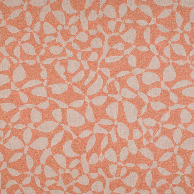 Sito web 20613PF_AG_AG_ALGAE_CORAL