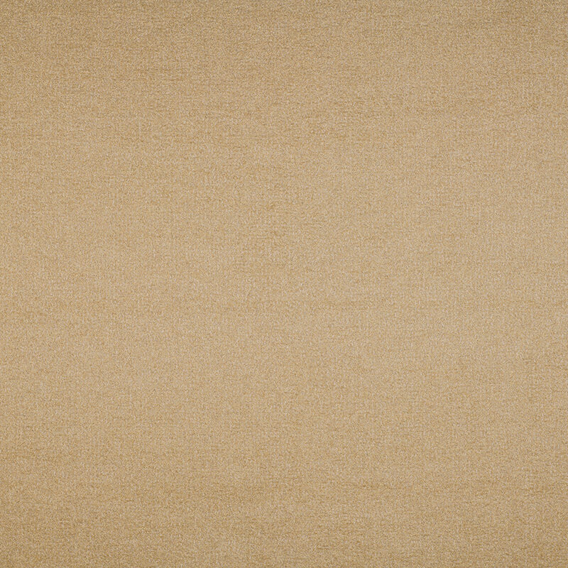 Sito web 20618PF_AG_TIFON_ARENA