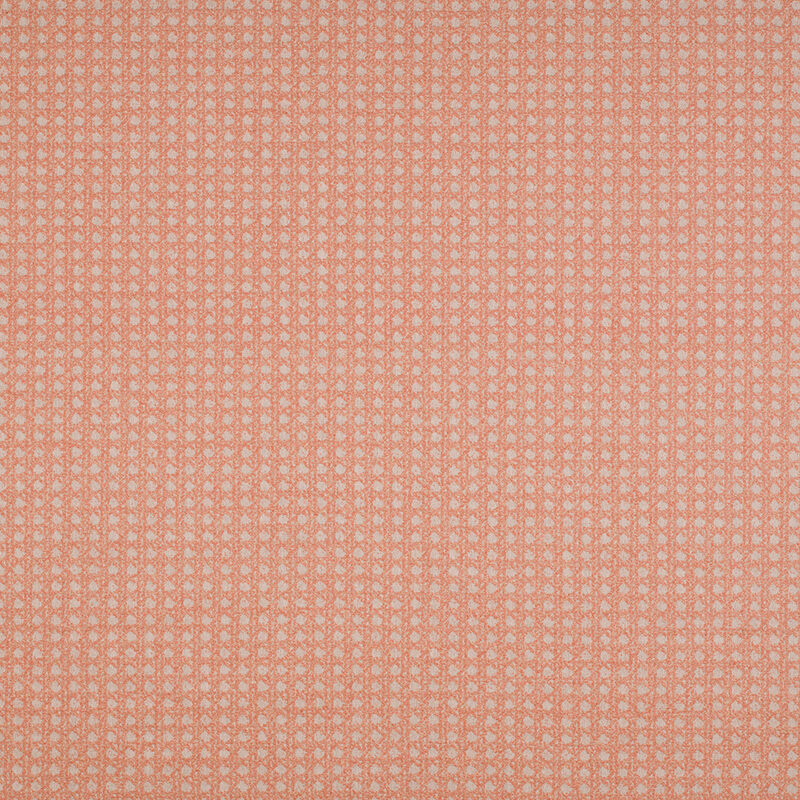 Sito web 20627PF_AG_MIMBRES_CORAL